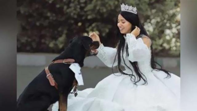 حزب إرادة جيل