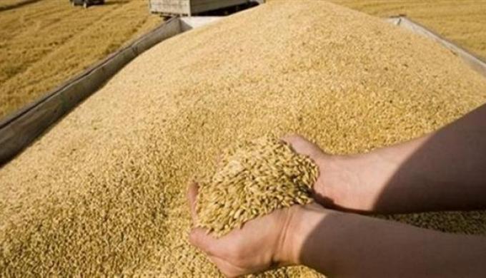 وزير المالية: الدولة تخطط لترشيد دعم الخبز.. والقمح يكفي حتى آخر 2022