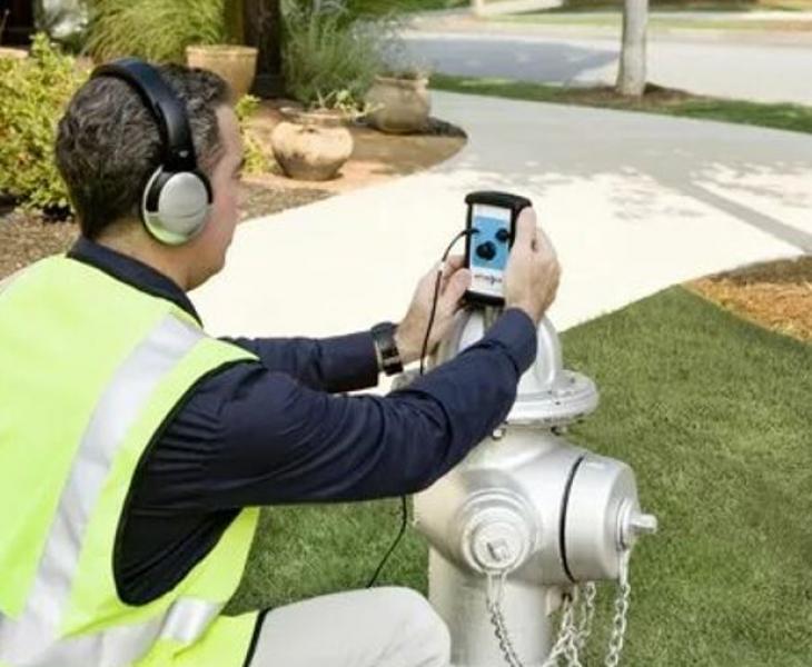 حزب إرادة جيل