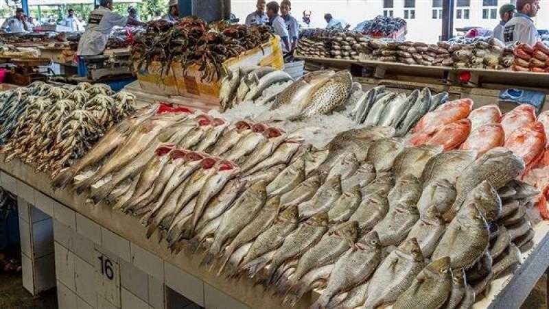 أسعار السمك الطازج والمجمد اليوم الجمعة 12-8-2022