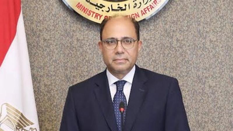 متحدث الخارجية: مصر تبذل جهودًا كبيرة بشأن القضية الفلسطينية لاستئناف عملية السلام