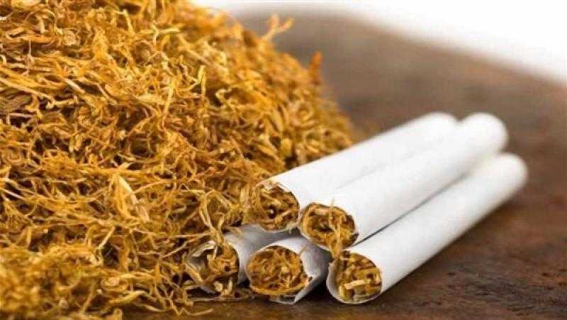 «القاهرة الإخبارية» تعرض تقريرًا عن مبادرة أوروبية لإلغاء بيع التبغ والنيكوتين