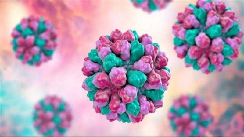 باحث بعلم الفيروسات والمناعة: فيروس «النوروفيروس» يتكاثر في الأمعاء الدقيقة (فيديو)