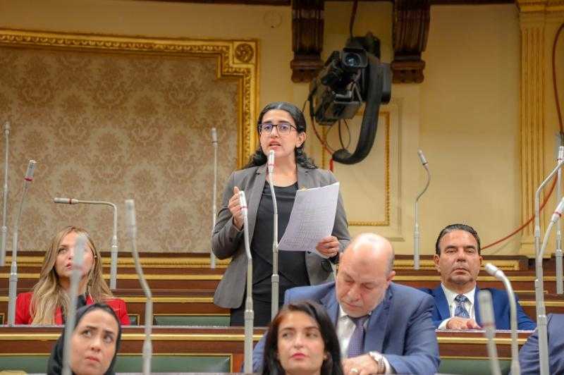 النائبة روان لاشين: مقترح مجلس أمناء الحوار الوطني الإشراف القضائي على الانتخابات يرسخ للعدل بالجمهورية الجديدة
