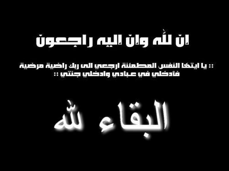 حزب إرادة جيل