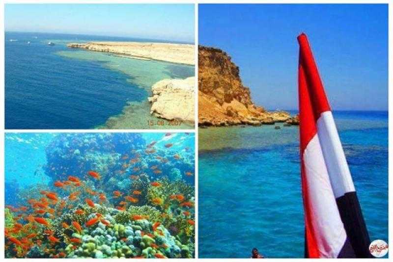 فاروق شرف يكتب: عظيمة يا مصر