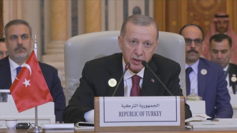 أردوغان يدعو إلى عقد مؤتمر دولي للسلام