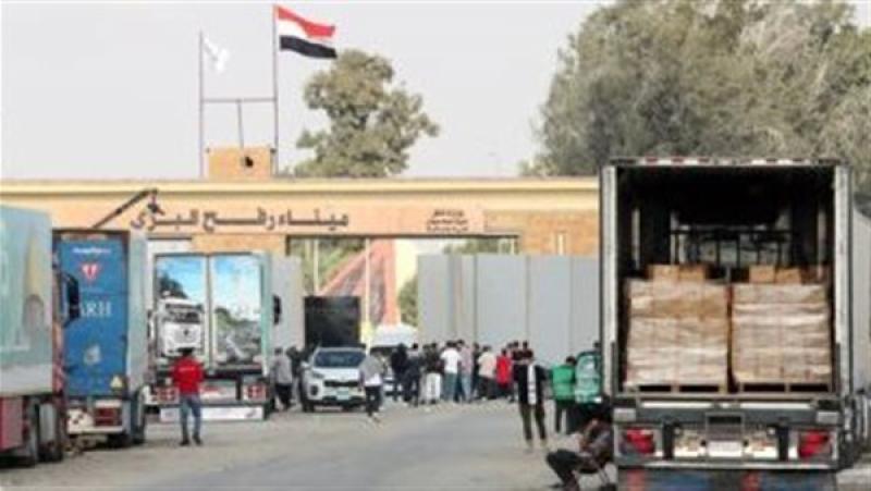 حزب إرادة جيل