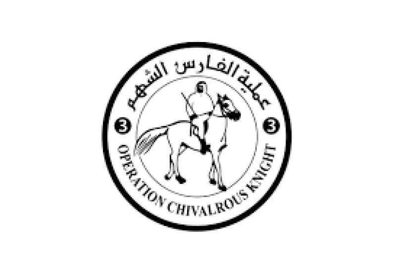 حزب إرادة جيل
