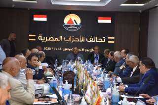 عفت السادات: تركيز شديد على المقاعد الفردية حتى وإن لم يكن هناك ممثلين على كافة المقاعد