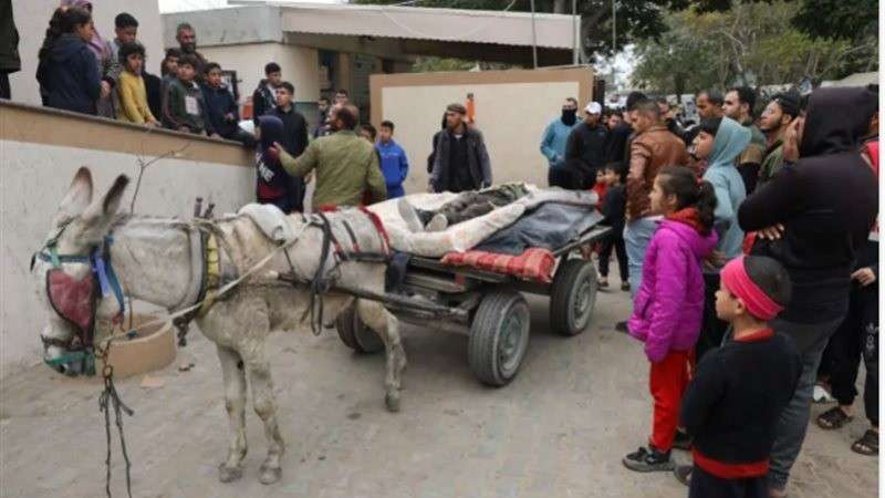 حزب إرادة جيل