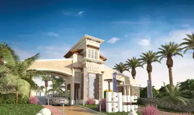 حزب إرادة جيل