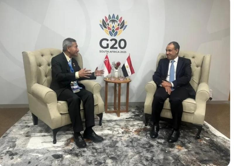 حزب إرادة جيل