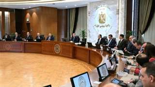 بتوجيهات رئاسية.. الحكومة تتحرك لتوسيع أطر التعاون مع الدول الإفريقية